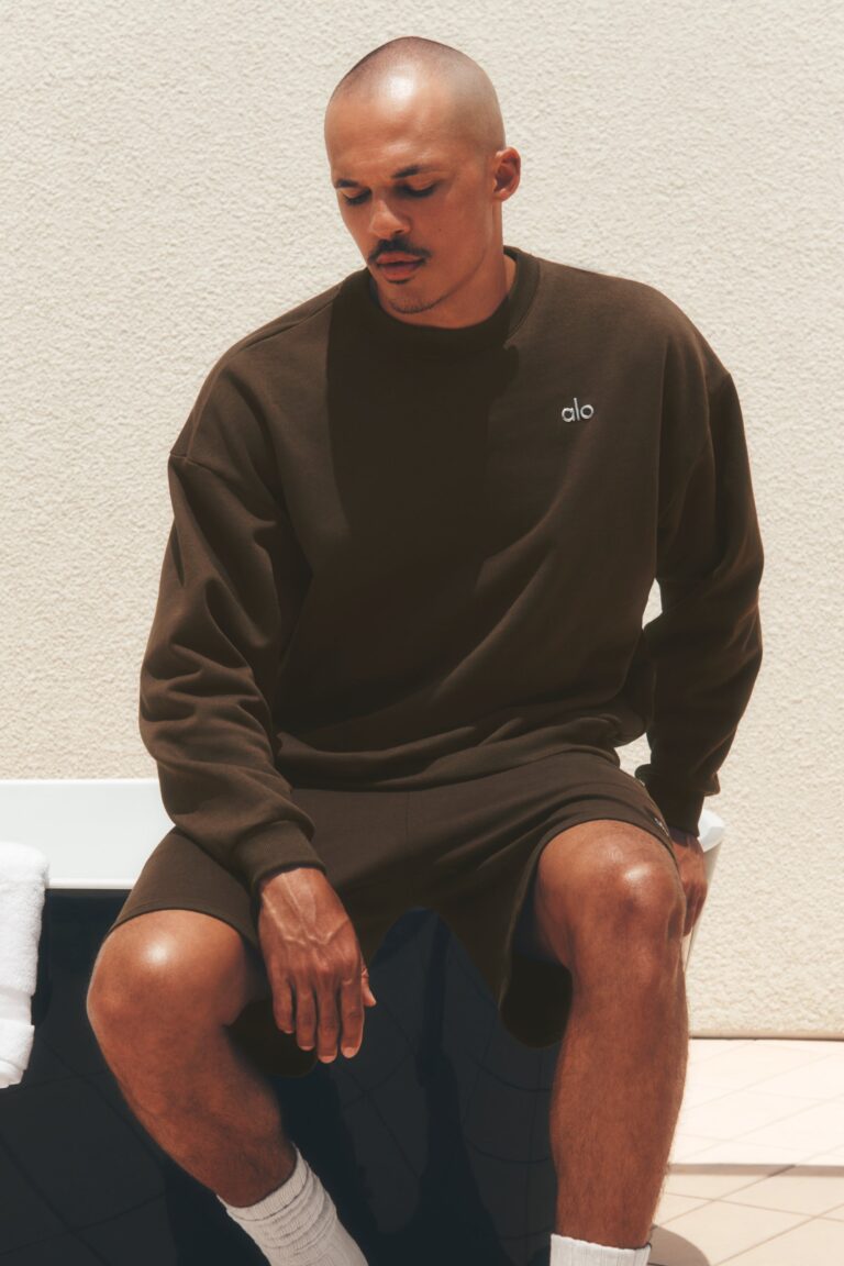 Свитшот Alo Yoga Accolade Crew Neck Pullover «Espresso» Унисекс