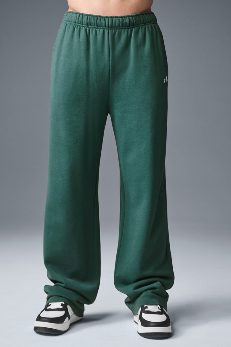 Брюки Alo Yoga Accolade Straight Leg Sweatpant «Winter Ivy» Унисекс