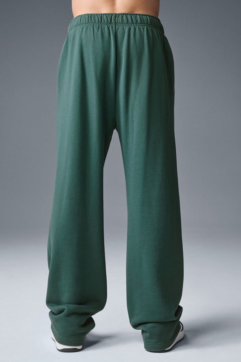 Брюки Alo Yoga Accolade Straight Leg Sweatpant «Winter Ivy» Унисекс