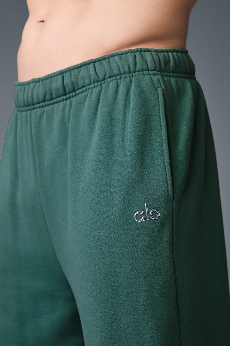 Брюки Alo Yoga Accolade Straight Leg Sweatpant «Winter Ivy» Унисекс