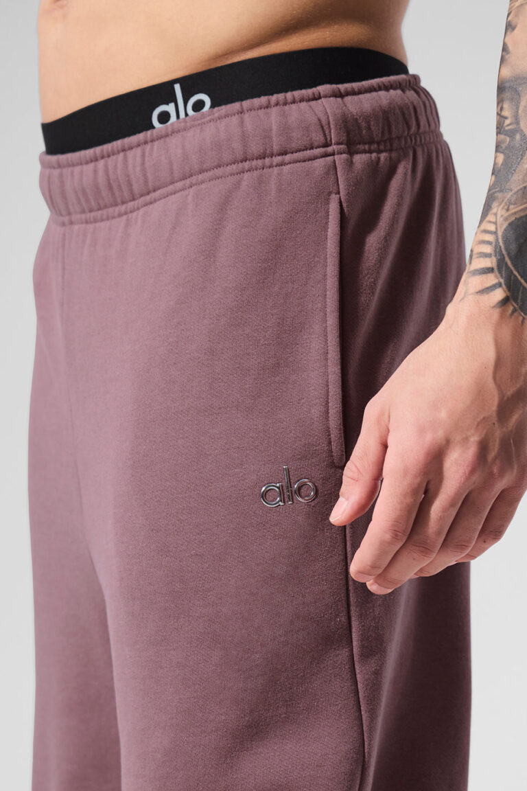 Брюки Alo Yoga Accolade Sweatpant «Smoky Quartz» Унисекс