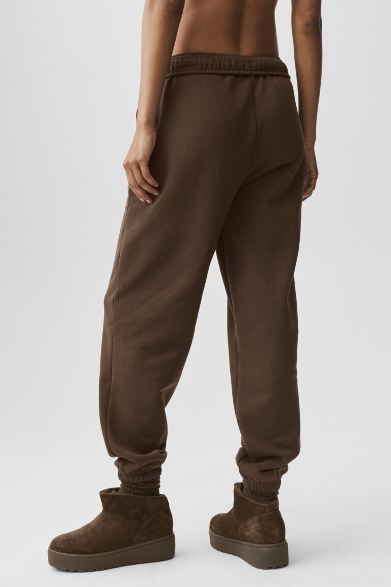 Брюки Alo Yoga Accolade Sweatpant «Espresso» Унисекс