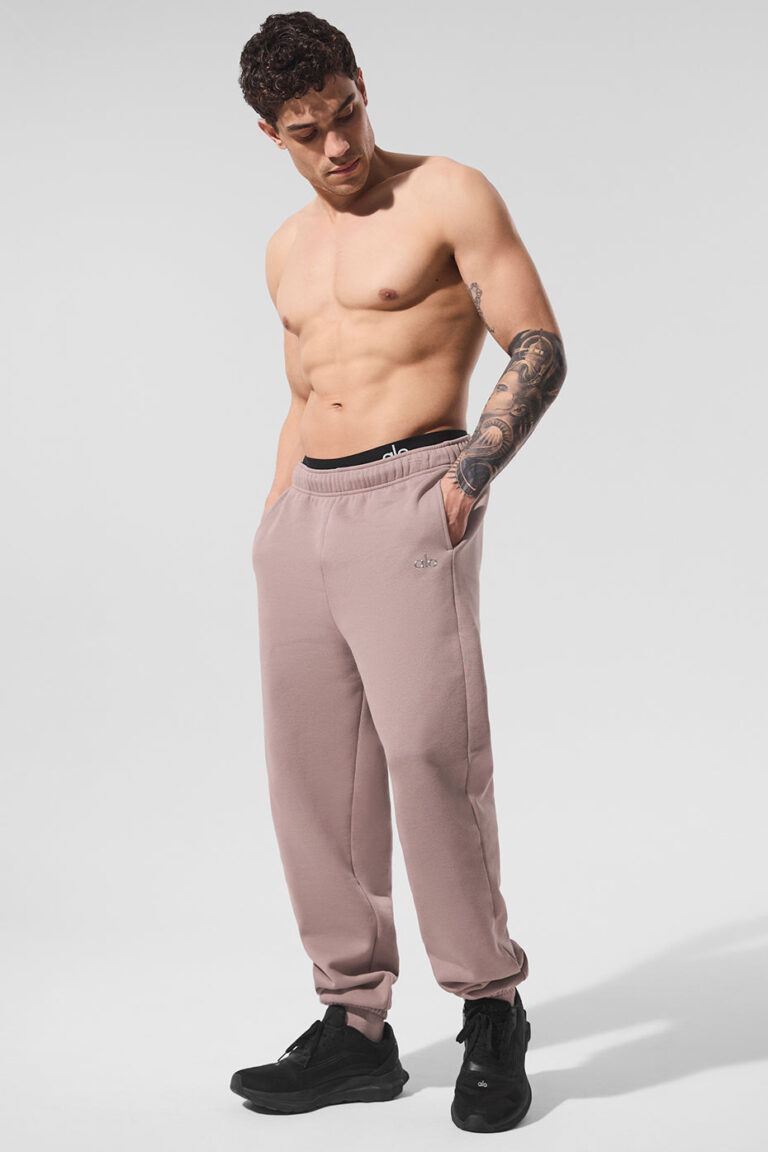 Брюки Alo Yoga Accolade Sweatpant «Taupe» Унисекс