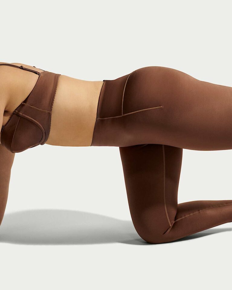 Леггинсы NikeSKIMS Satin Shine High-Waisted Bonded 26″ Leggings «Carob Brown» Женская