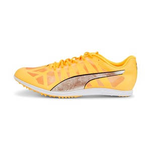 Puma evoSPEED Distance 10