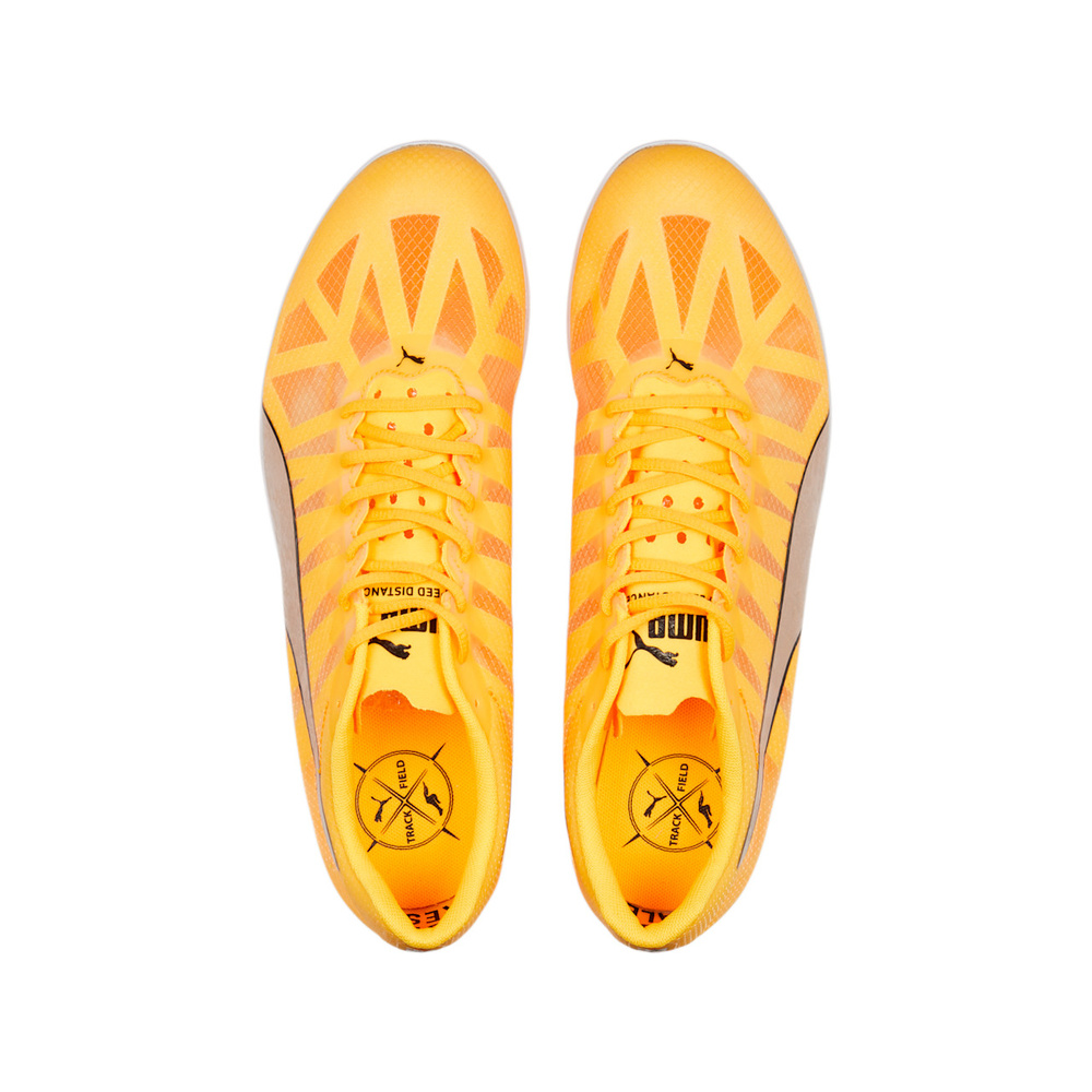 Puma evoSPEED Distance 10 'Sun Stream / Metallic Silver / PUMA Black' Унисекс