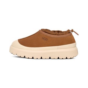 Chestnut / Whitecap