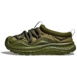 Forest Floor