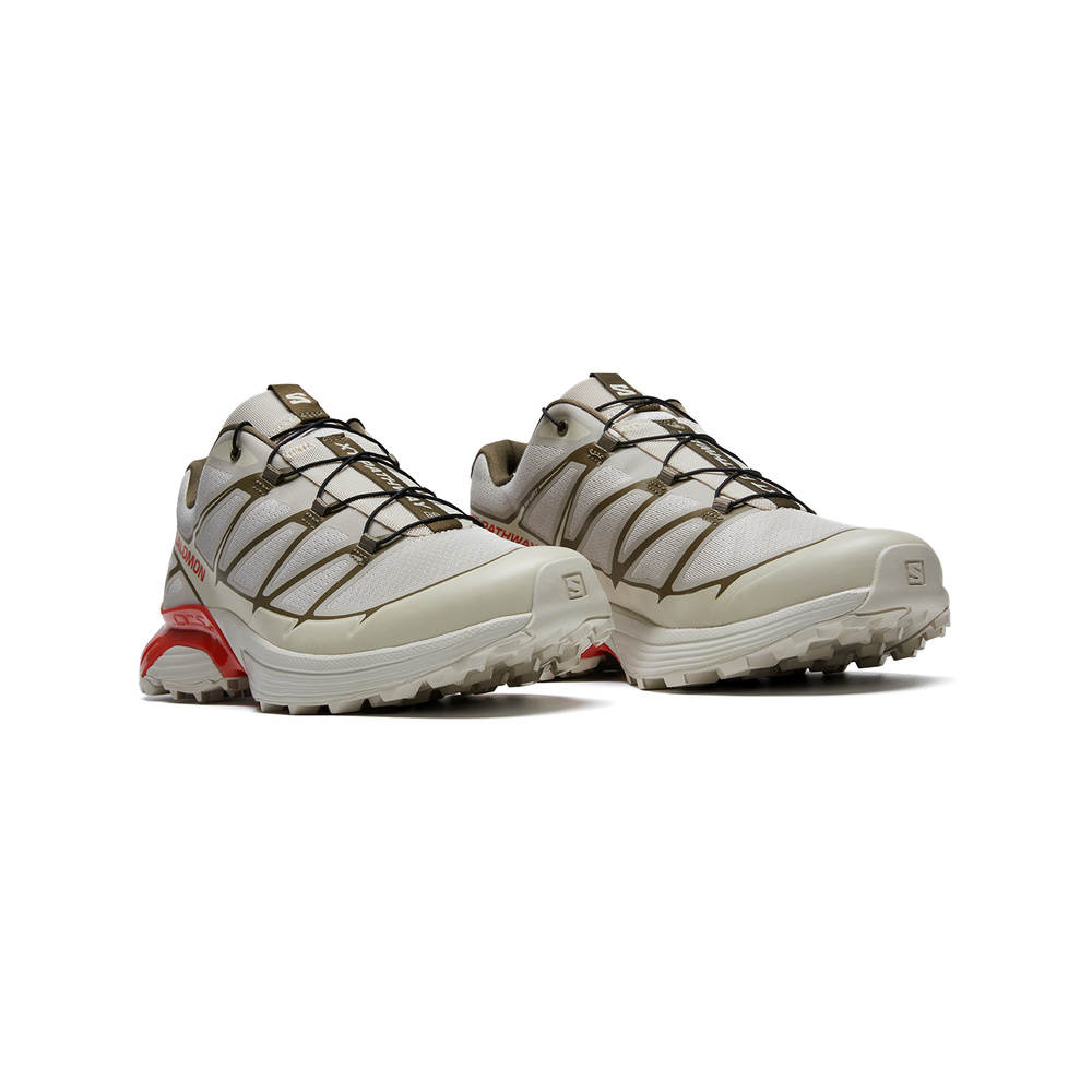 Salomon XT-Pathway 2 'Beige Brown Red' Мужские
