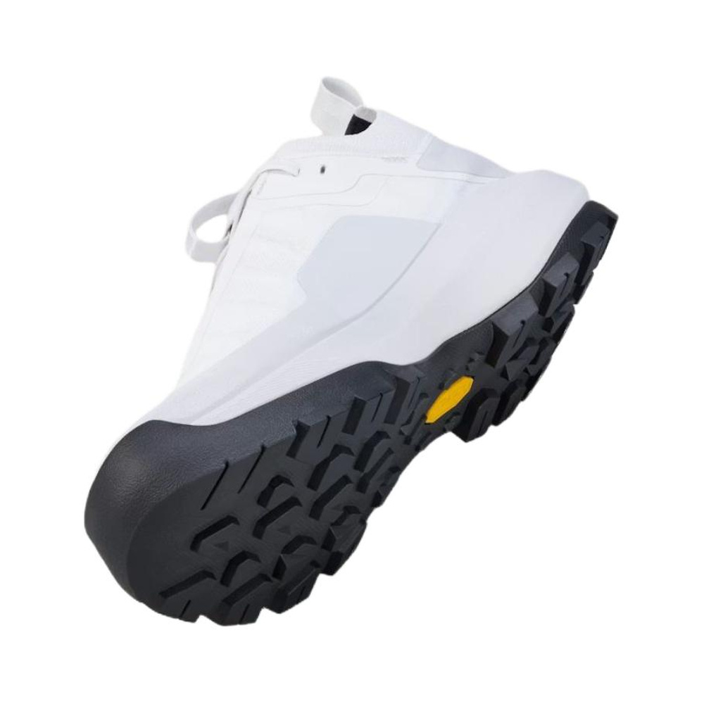 Arc'teryx Vertex Alpine GTX 'Atmos / Solitude' Женские