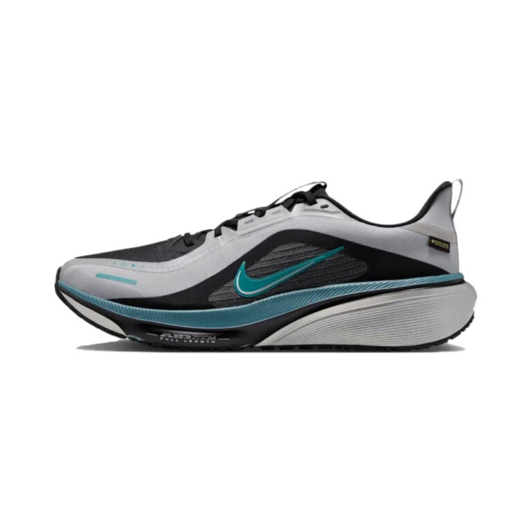 Nike Pegasus 42 GTX 'Light Smoke Grey / Smokey Blue / Black / Bright Spruce' Мужские