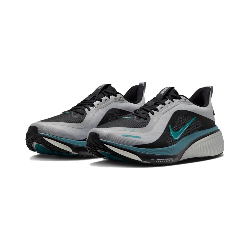 Nike Pegasus 42 GTX 'Light Smoke Grey / Smokey Blue / Black / Bright Spruce' Мужские