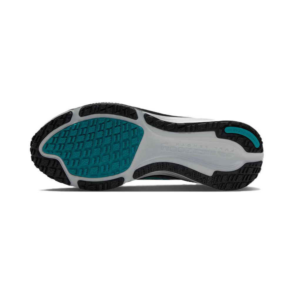 Nike Pegasus 42 GTX 'Light Smoke Grey / Smokey Blue / Black / Bright Spruce' Мужские