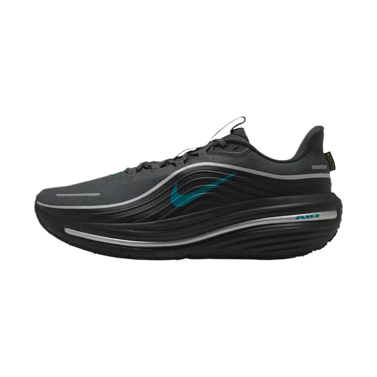 Nike Winflo 12 GTX